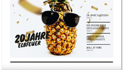 Broschuere 20 Jahre elbfeuer
